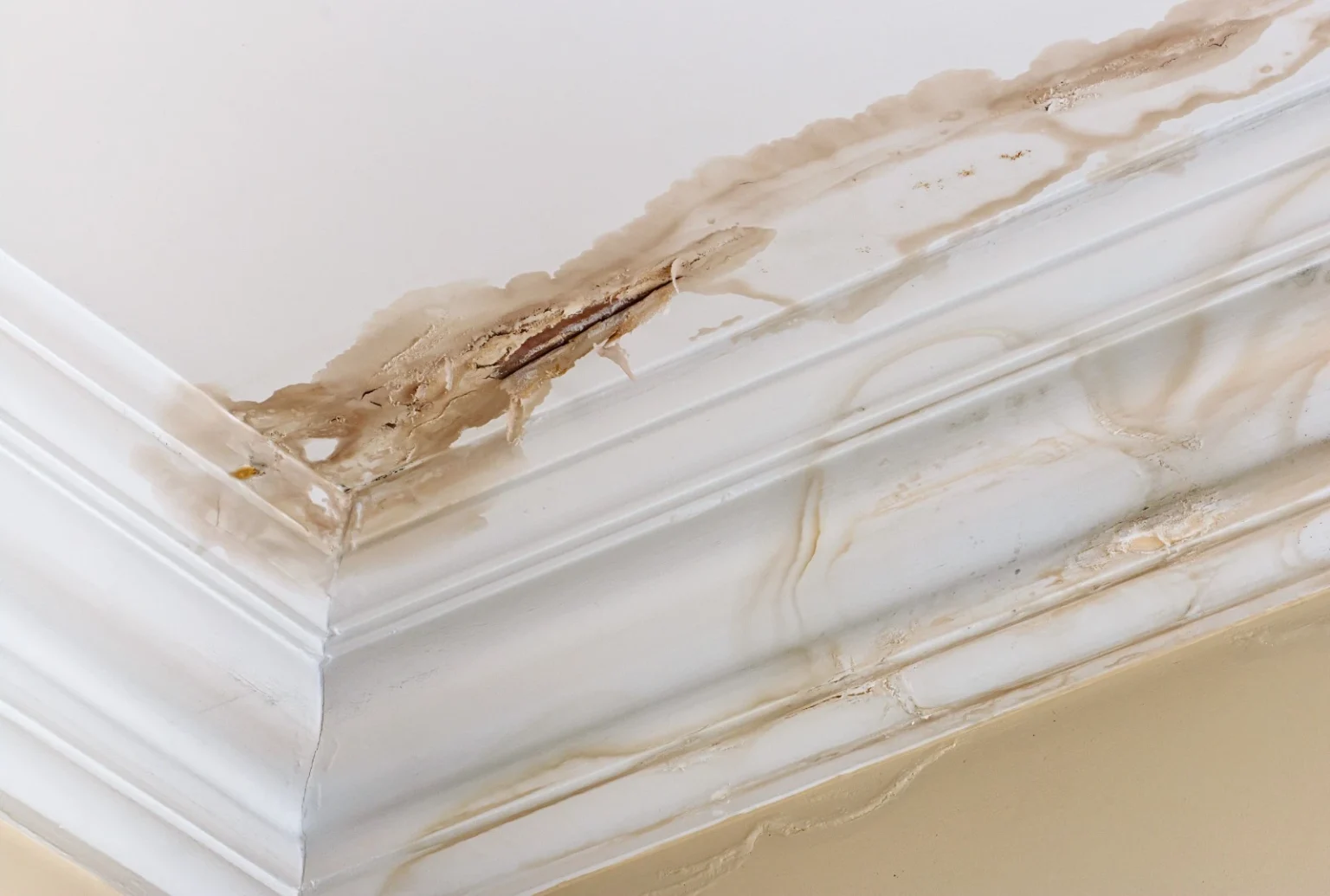 How to Find a Water Leak Inside a Wall: A Homeowner’s Guide